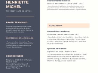 modele exemple cv gratuit 19