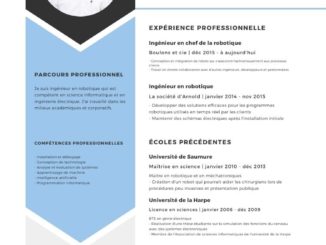 modele exemple cv gratuit 22