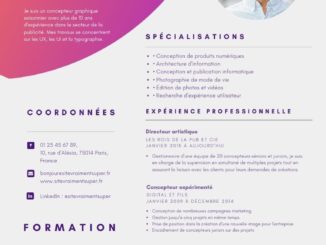 modele exemple cv gratuit 23