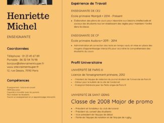 modele exemple cv gratuit 3