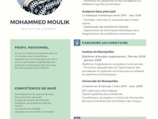 modele exemple cv gratuit 30