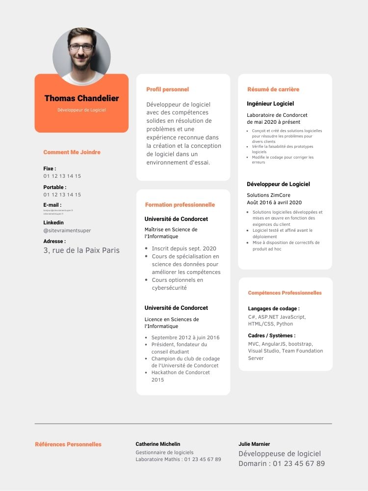 modele gratuit de design de cv de conseiller de programme