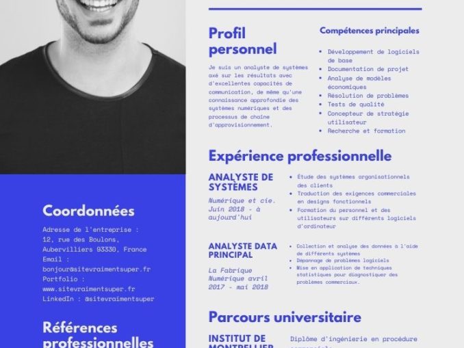 CV Contr leur Qualit Exemple Comp tences Gratuit Pdf