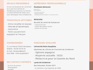 modele exemple cv gratuit 83