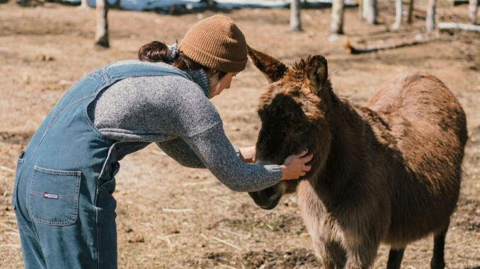 devenir soigneur animalier sans diplôme rêve d’enfant ou vraie option